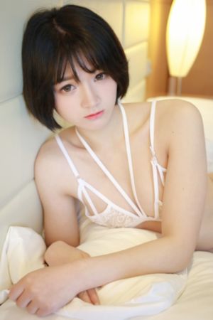 全职法师第6季全集在线观看_4K迅雷电影在线
